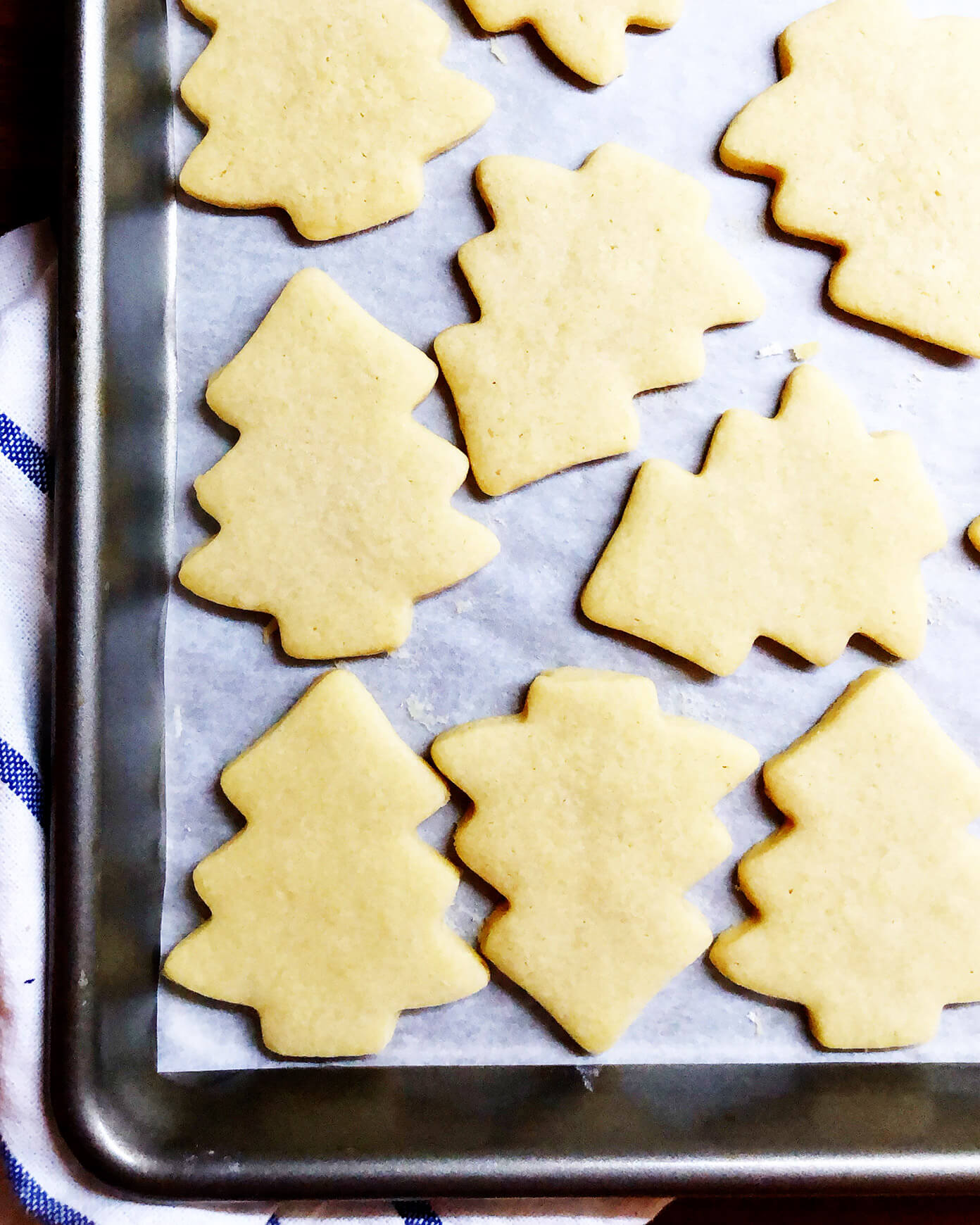 Christmas Tree Sugar Cookies