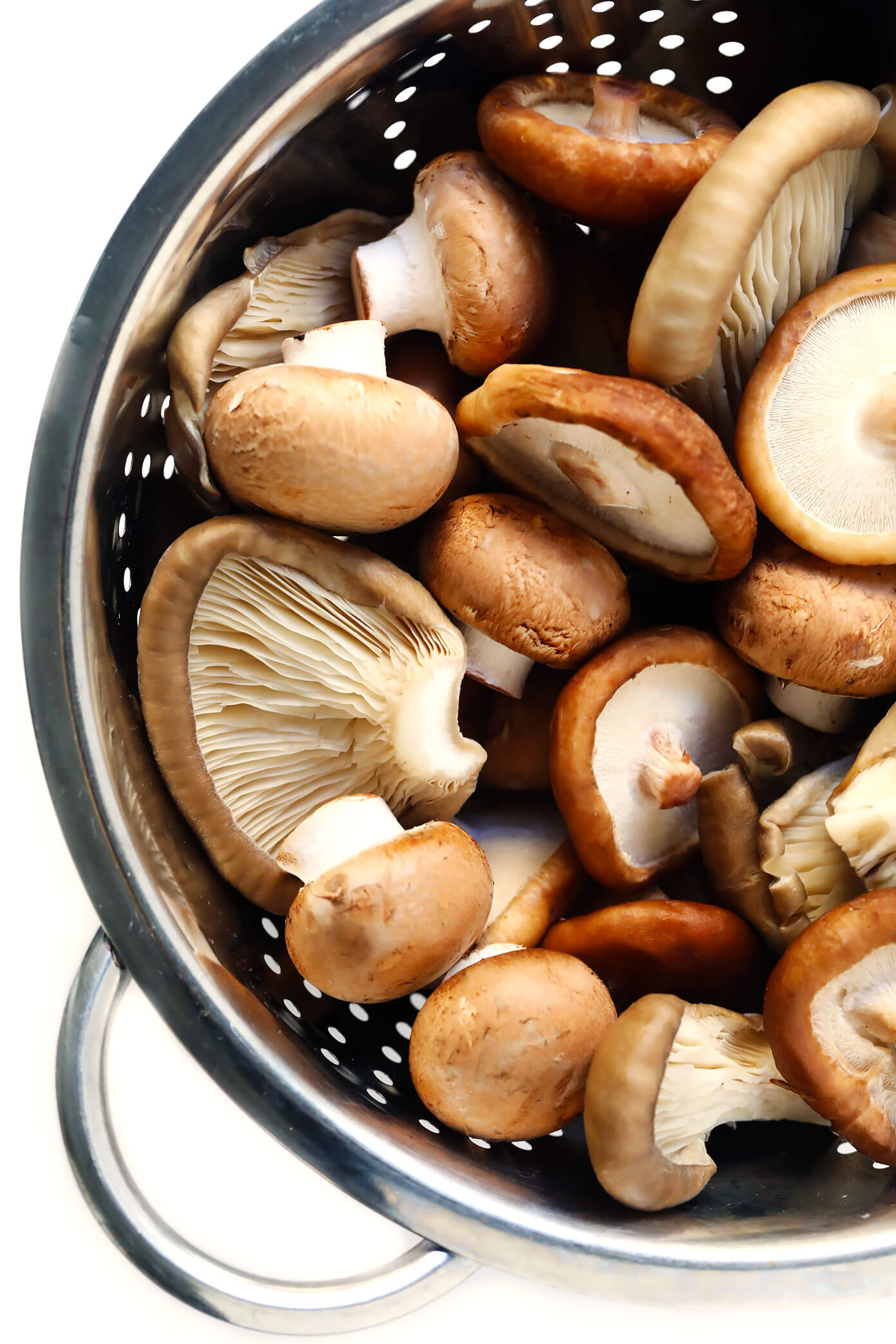 Baby Bella, Shiitake and Oyster Mushrooms