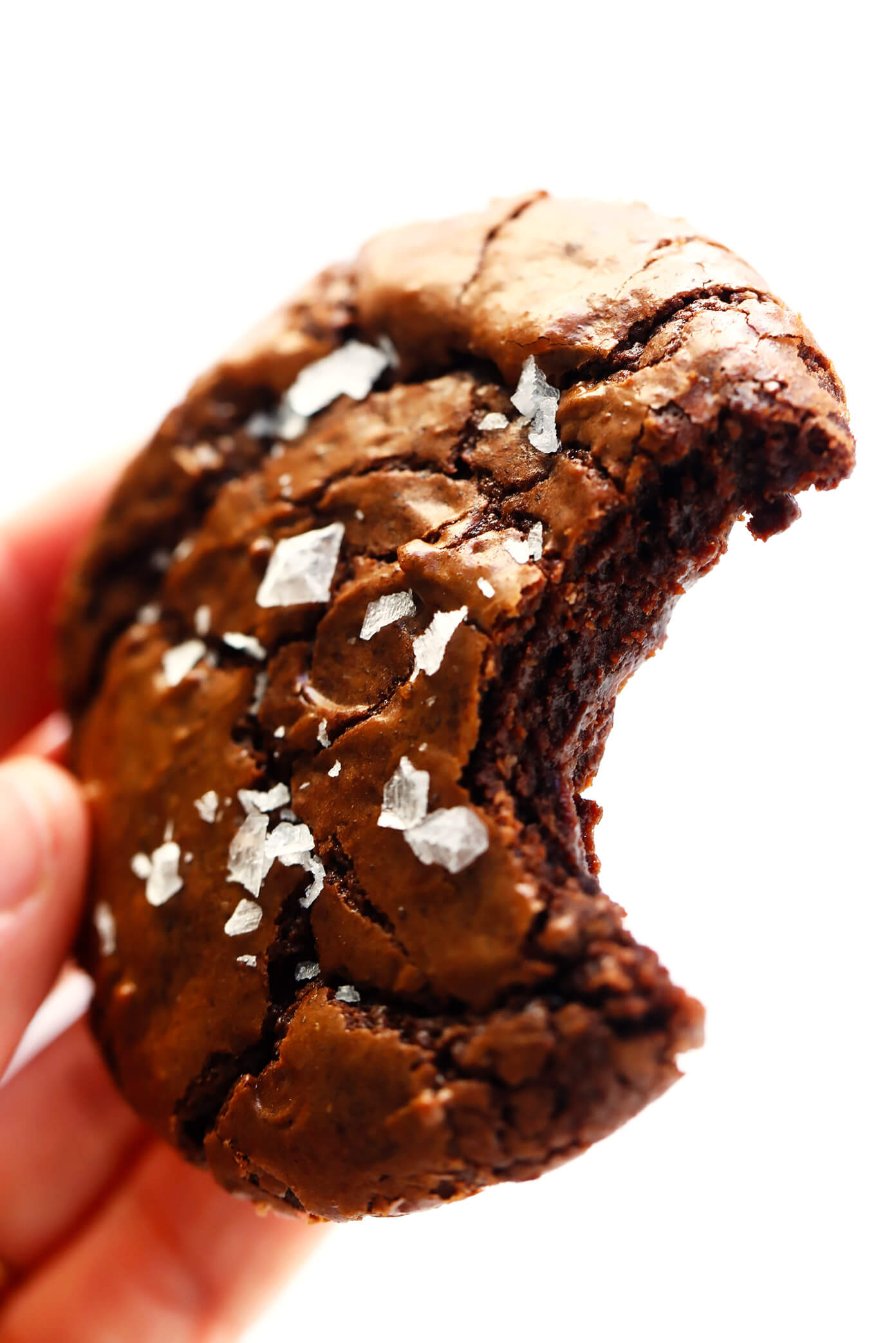 Chocolate Brownie Cookies Recipe