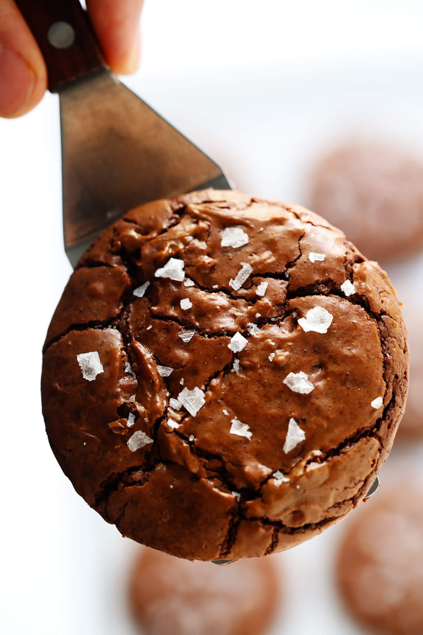 Brownie Chocolate Crinkle Cookies