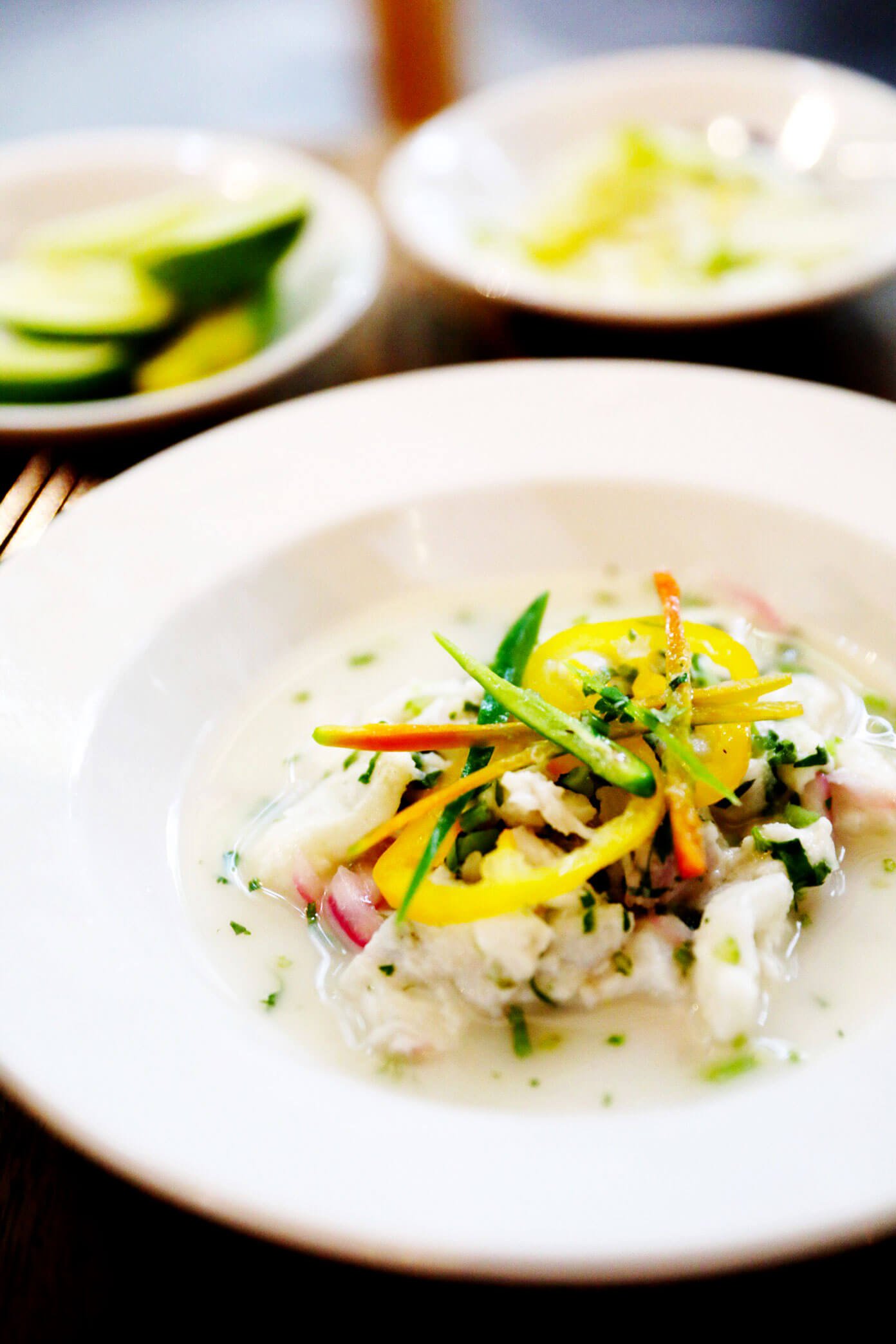 Ali's Guide To Mexico City | Where To Eat (Restaurants), Visit (What To Do), and Stay (Hotels and AirBnBs) in the delicious urban heart of Mexico | gimmesomeoven.com #travel #mexicocity #cdmx #mexico #traveltips #restaurants #food Contramar Fish Ceviche | CDMX Mexico City
