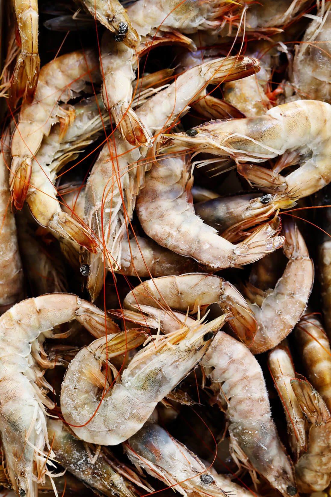 Spanish Gambas (Shrimp)