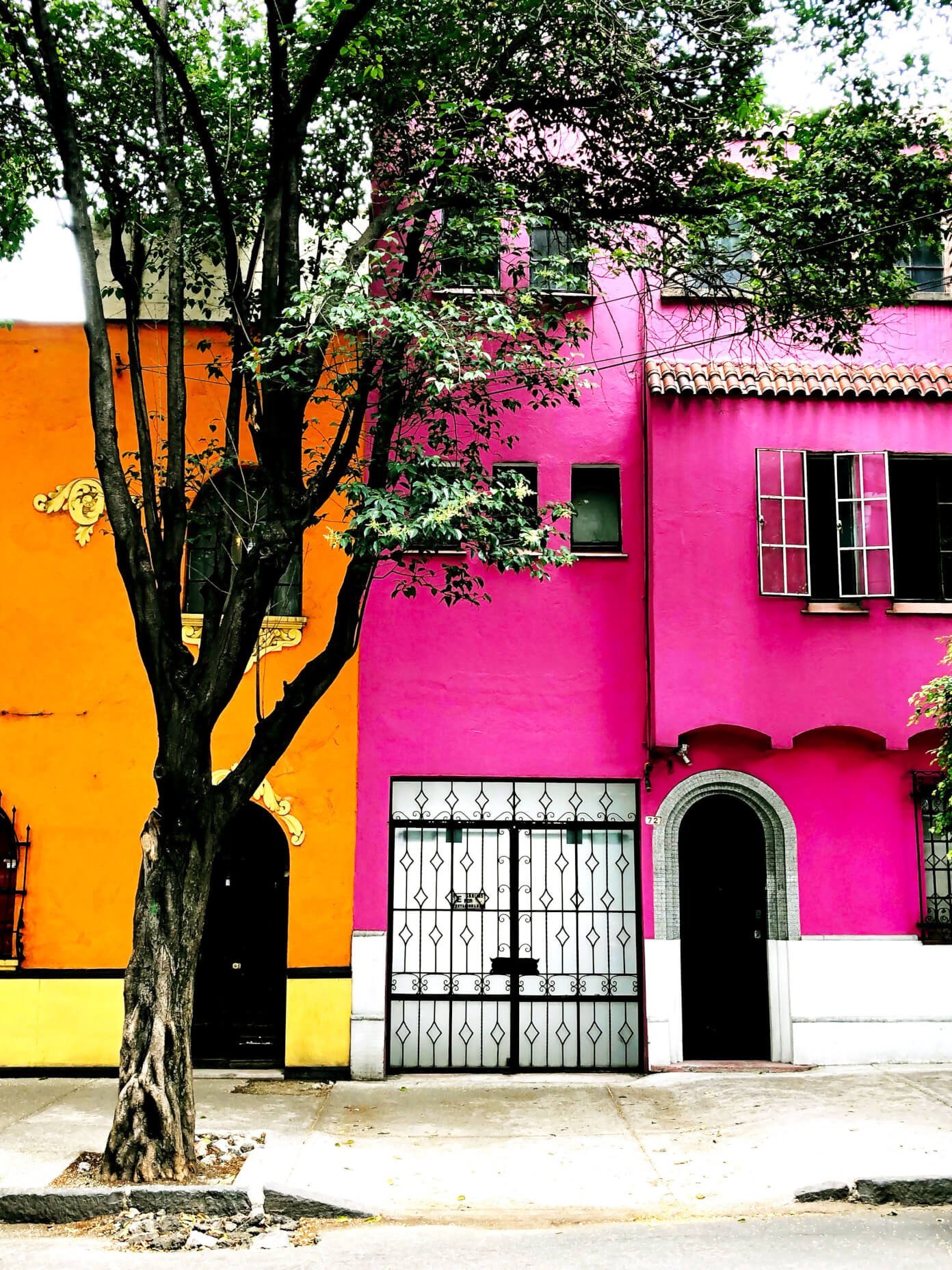 Ali's Guide To Mexico City | Where To Eat (Restaurants), Visit (What To Do), and Stay (Hotels and AirBnBs) in the delicious urban heart of Mexico | gimmesomeoven.com #travel #mexicocity #cdmx #mexico #traveltips #restaurants #food Roma Norte