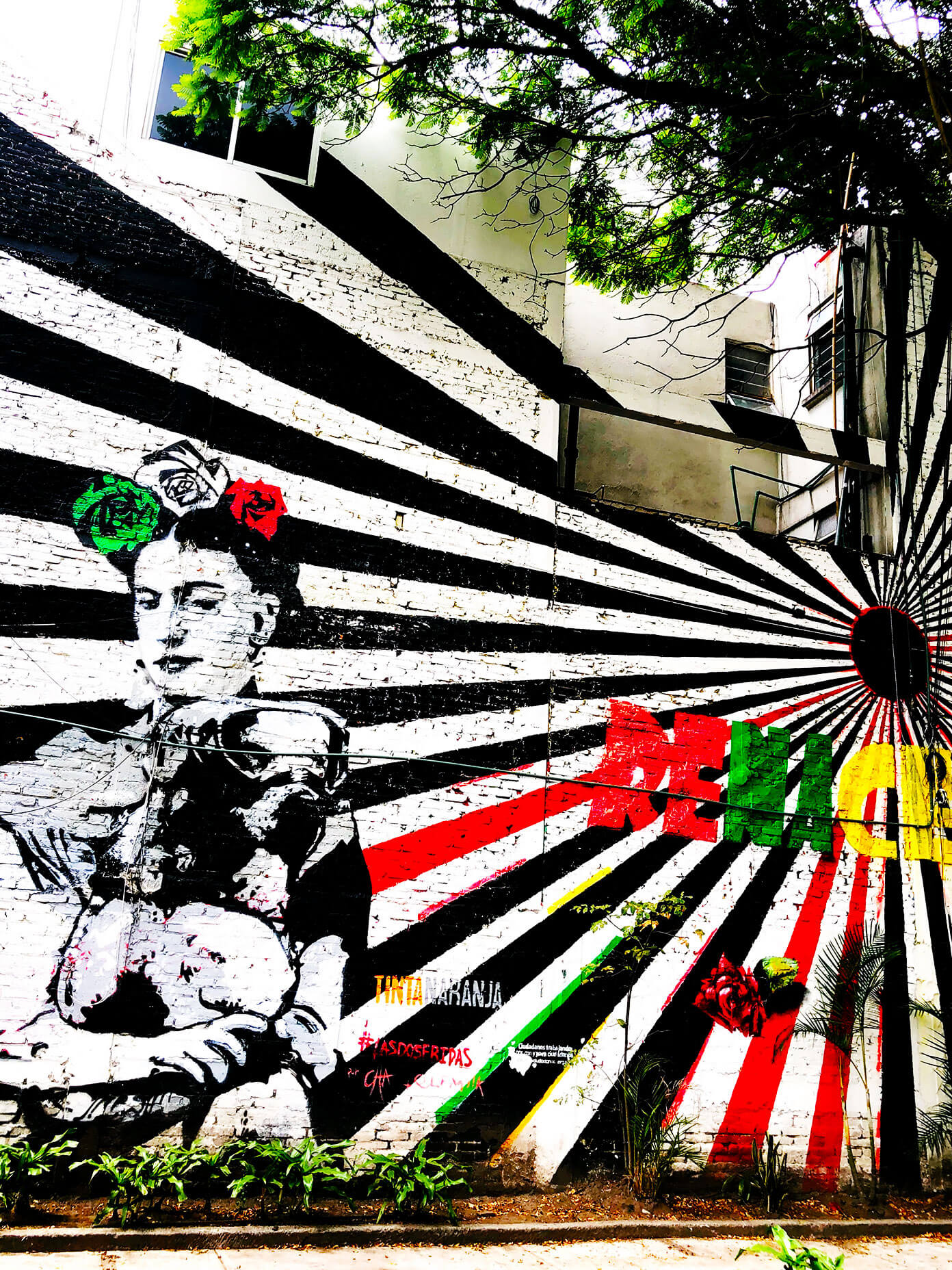 Ali's Guide To Mexico City | Where To Eat (Restaurants), Visit (What To Do), and Stay (Hotels and AirBnBs) in the delicious urban heart of Mexico | gimmesomeoven.com #travel #mexicocity #cdmx #mexico #traveltips #restaurants #food Frida Mural in Roma Norte