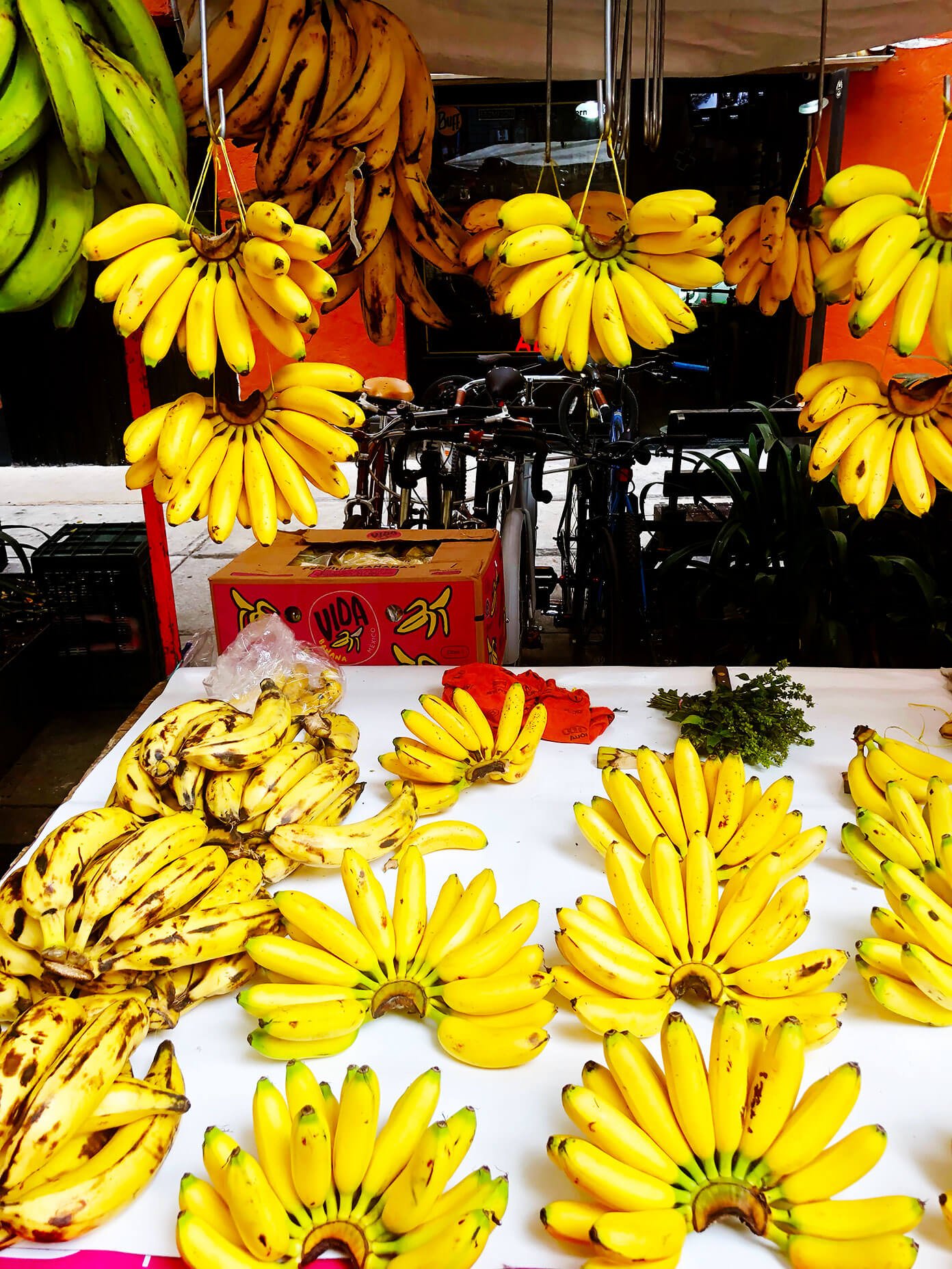 Ali's Guide To Mexico City | Where To Eat (Restaurants), Visit (What To Do), and Stay (Hotels and AirBnBs) in the delicious urban heart of Mexico | gimmesomeoven.com #travel #mexicocity #cdmx #mexico #traveltips #restaurants #food Mexico City Market Bananas