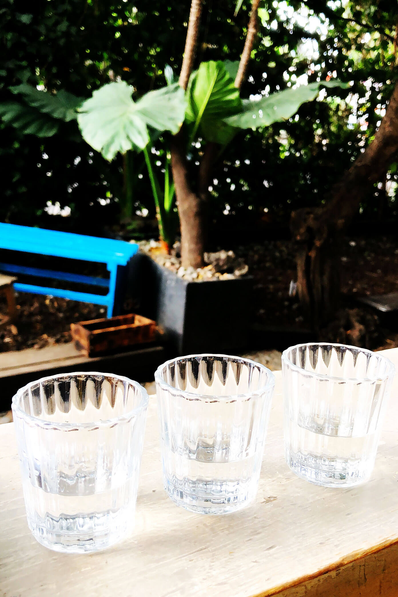 Ali's Guide To Mexico City | Where To Eat (Restaurants), Visit (What To Do), and Stay (Hotels and AirBnBs) in the delicious urban heart of Mexico | gimmesomeoven.com #travel #mexicocity #cdmx #mexico #traveltips #restaurants #food Mezcal Tasting at La Clandestina in Mexico City