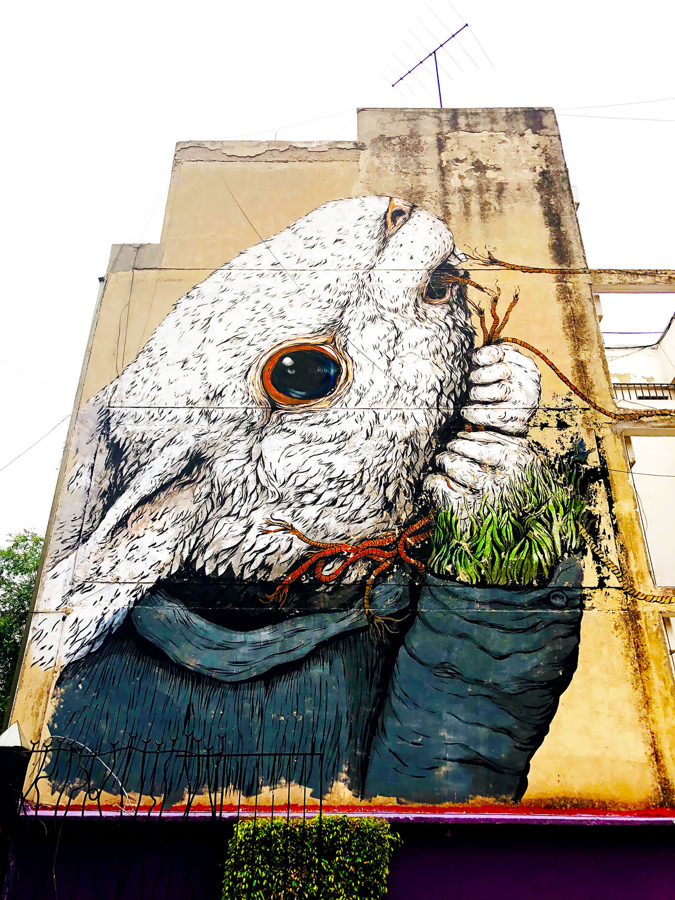 Ali's Guide To Mexico City | Where To Eat (Restaurants), Visit (What To Do), and Stay (Hotels and AirBnBs) in the delicious urban heart of Mexico | gimmesomeoven.com #travel #mexicocity #cdmx #mexico #traveltips #restaurants #food Rabbit Mural in Roma Mexico City