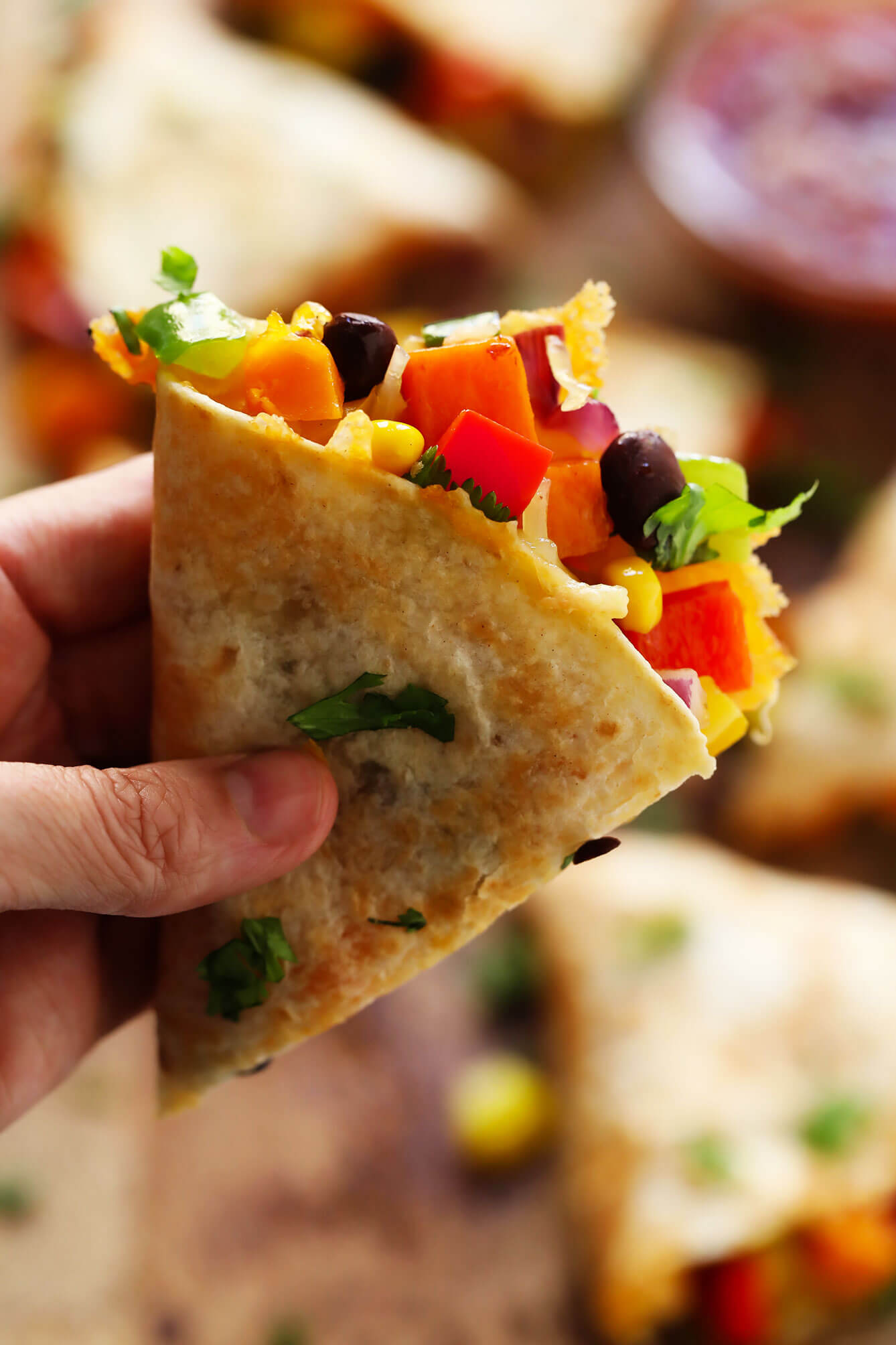 Vegetarian Quesadilla Recipe