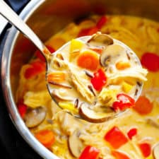 Thai Chicken Wild Rice Soup-image