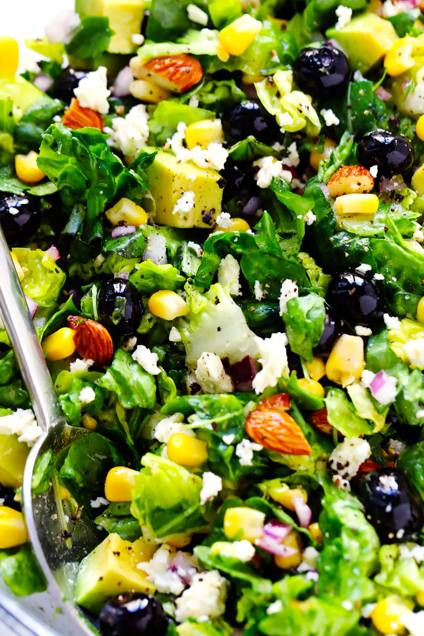 Closeup of blueberry, avocado and corn salad