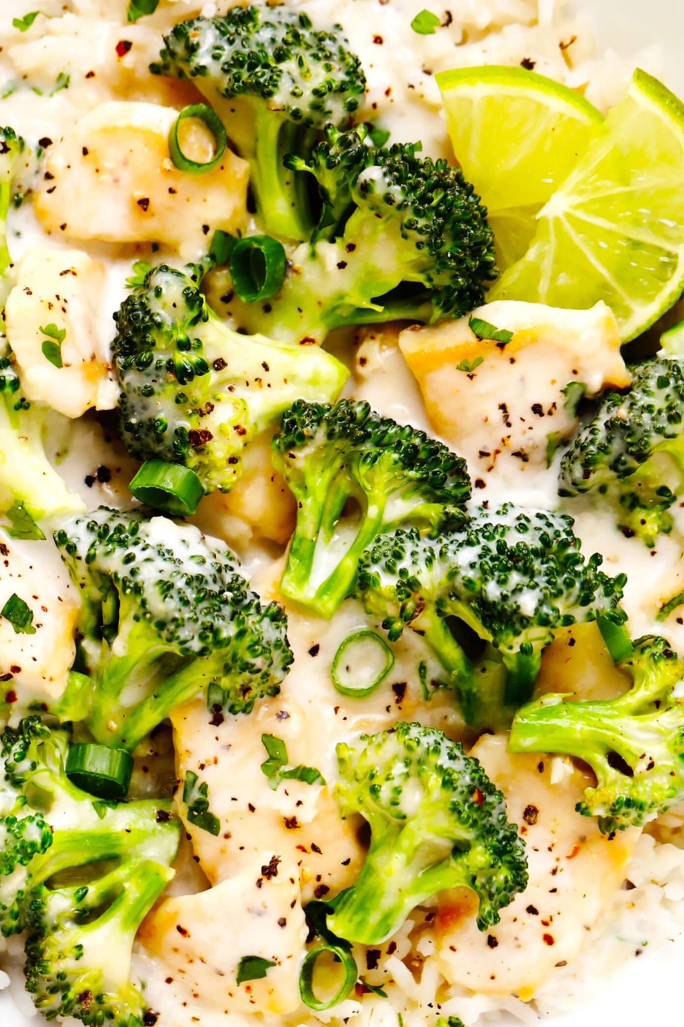 Coconut Lime Chicken and Broccoli Rice Closeup