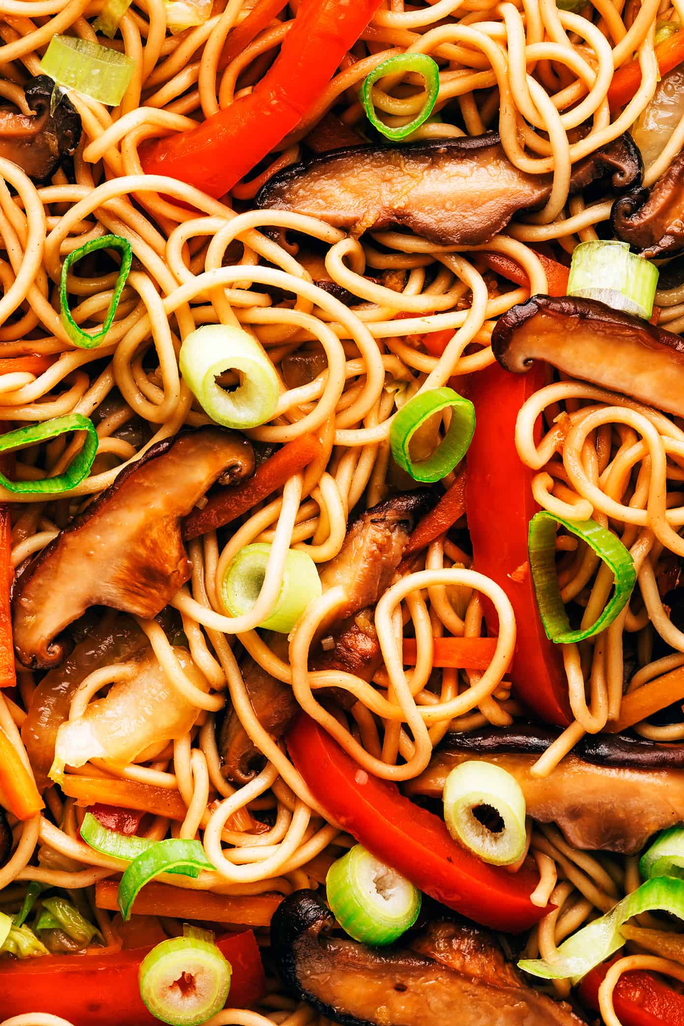 Chow mein noodles closeup