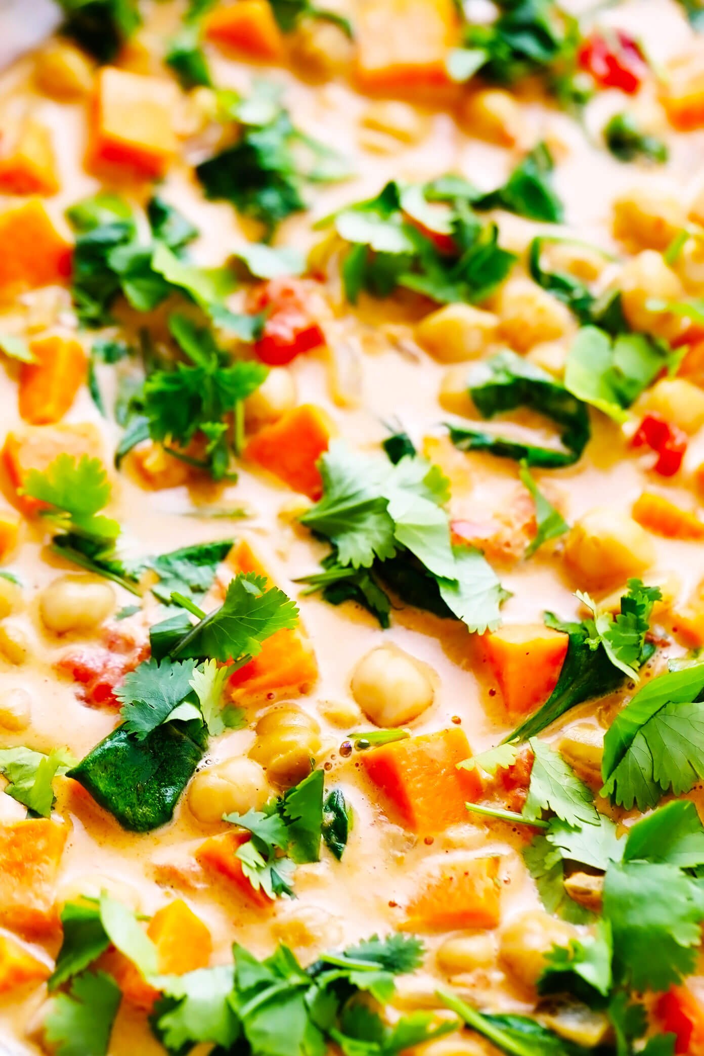 Sweet Potato Chickpea Curry Closeup