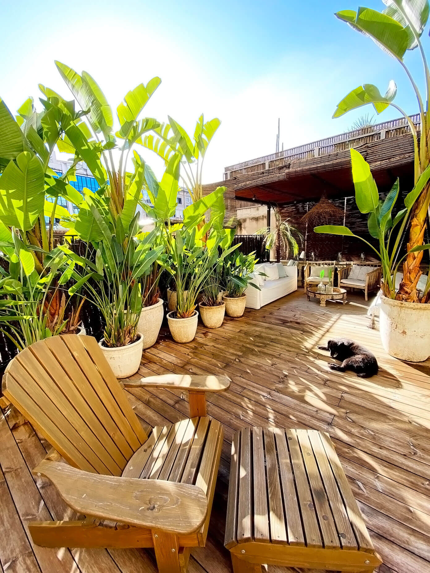 Terrace in Eixample Barcelona