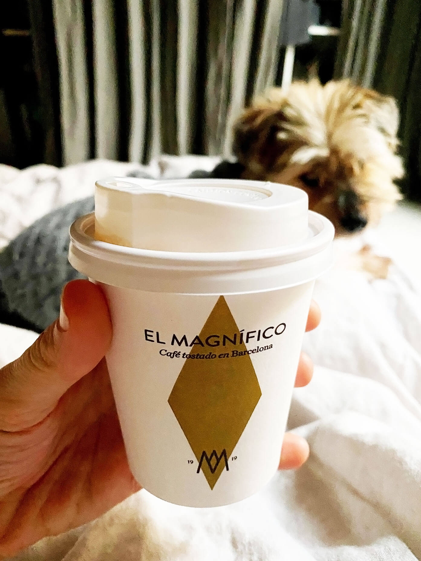 El Magnifico Coffee Barcelona