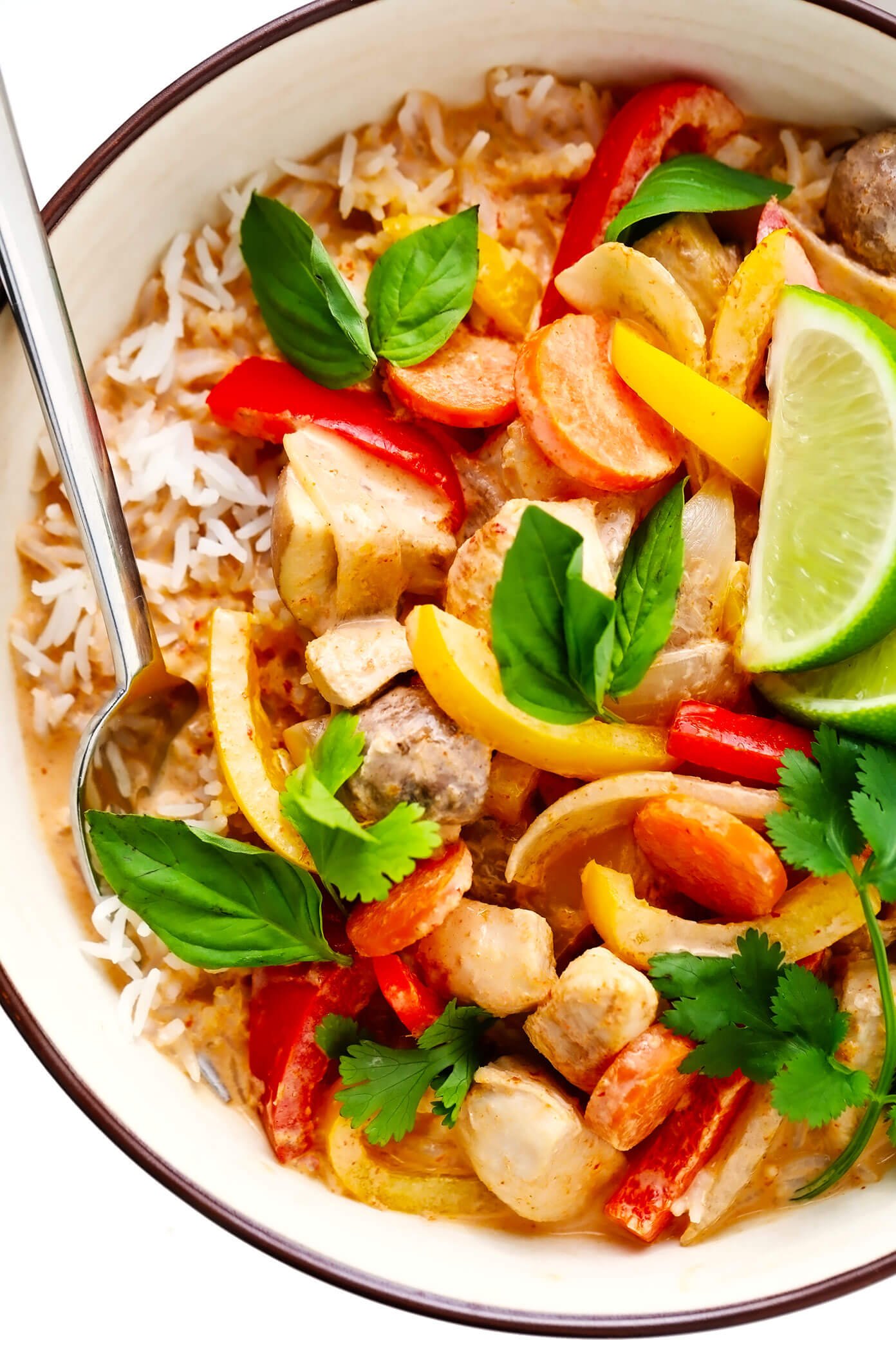 Thai Chicken Curry with Rice Closeup