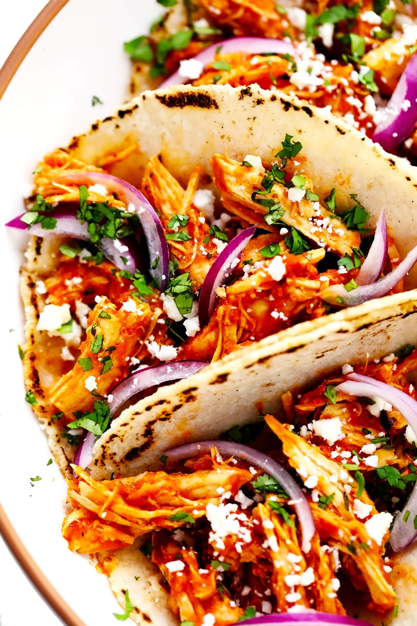 Chicken Tinga Tacos Closeup