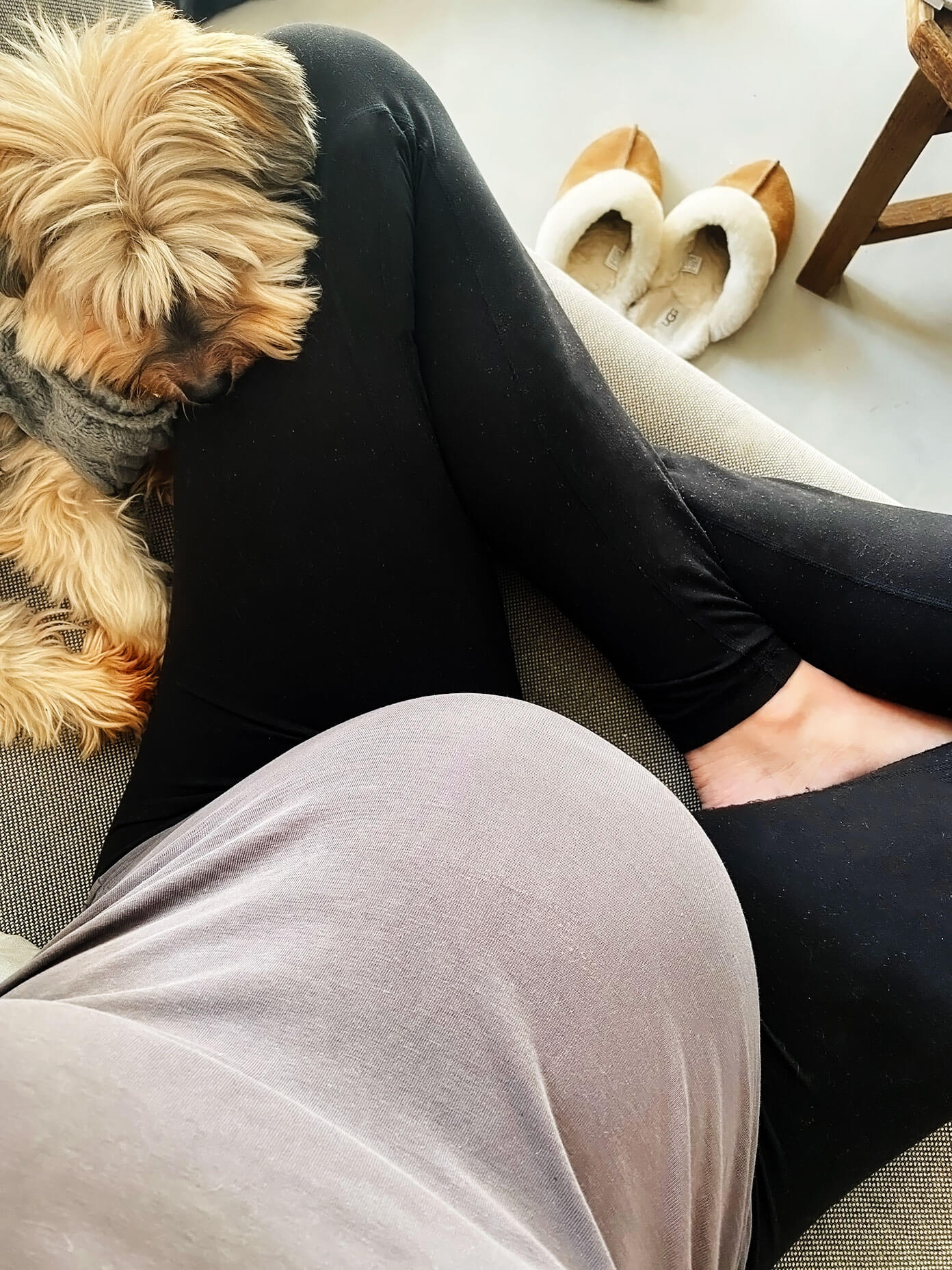 Atualmente | gimmesomeoven.com A barriga do bebê e o aconchego do cachorro