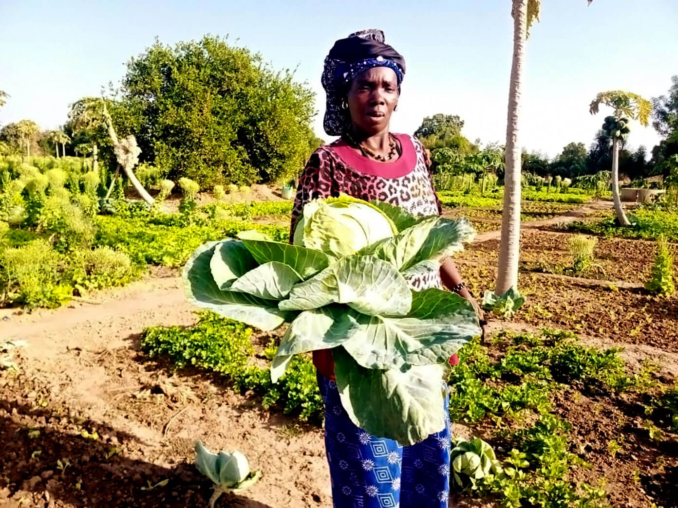 The Wash Project Community Garden