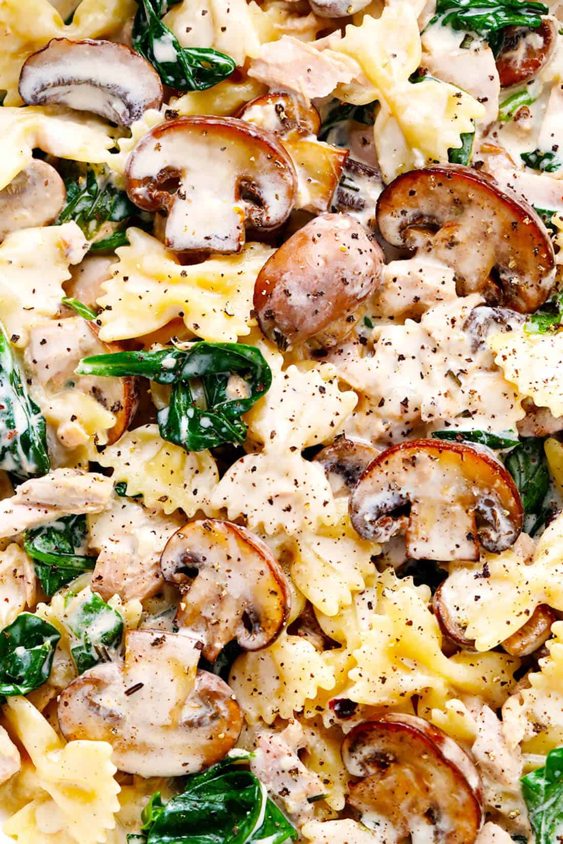 Creamy Tuna Mushroom Pasta Gimme Some Oven