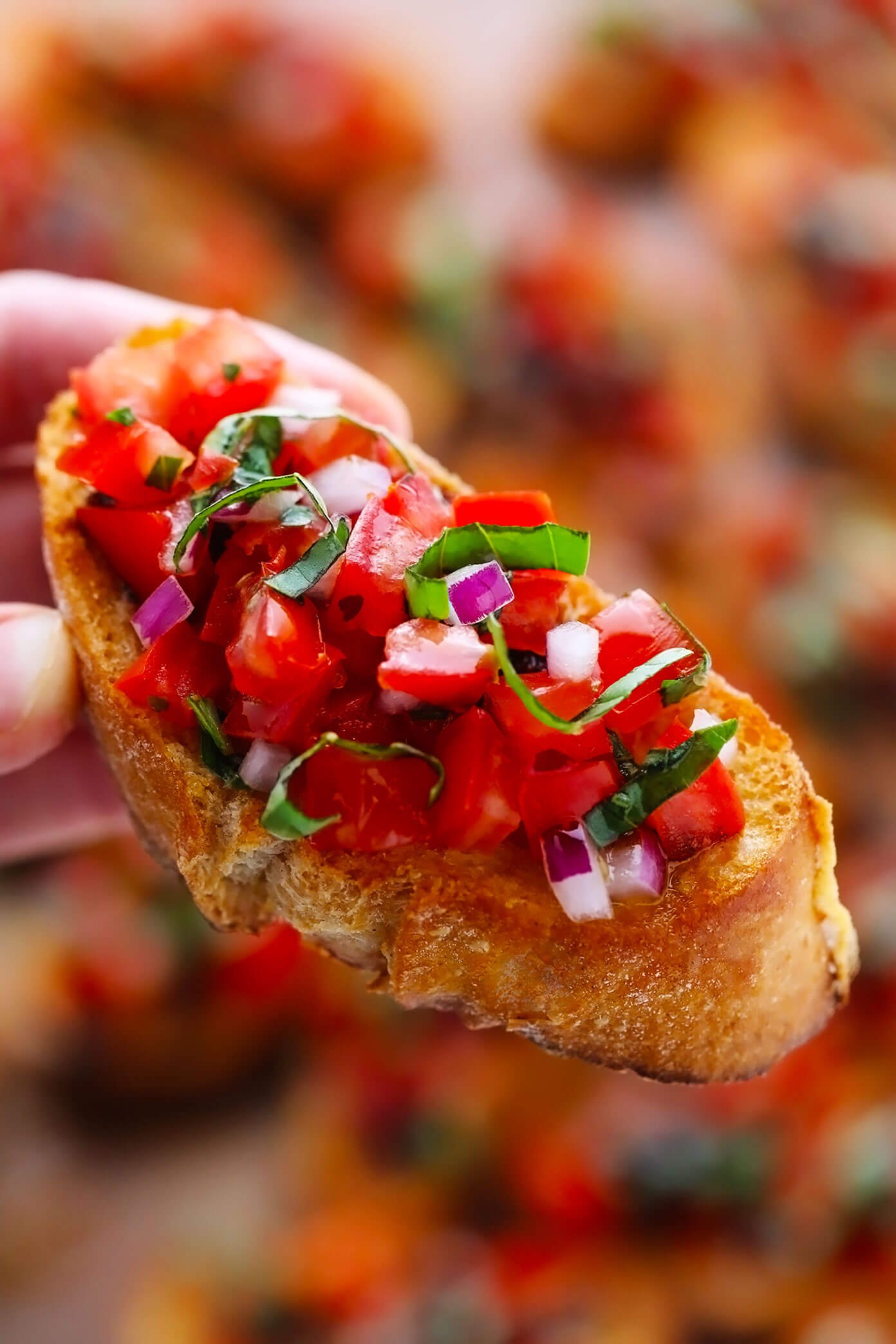 Bruschetta com tomate, manjericão e cebola