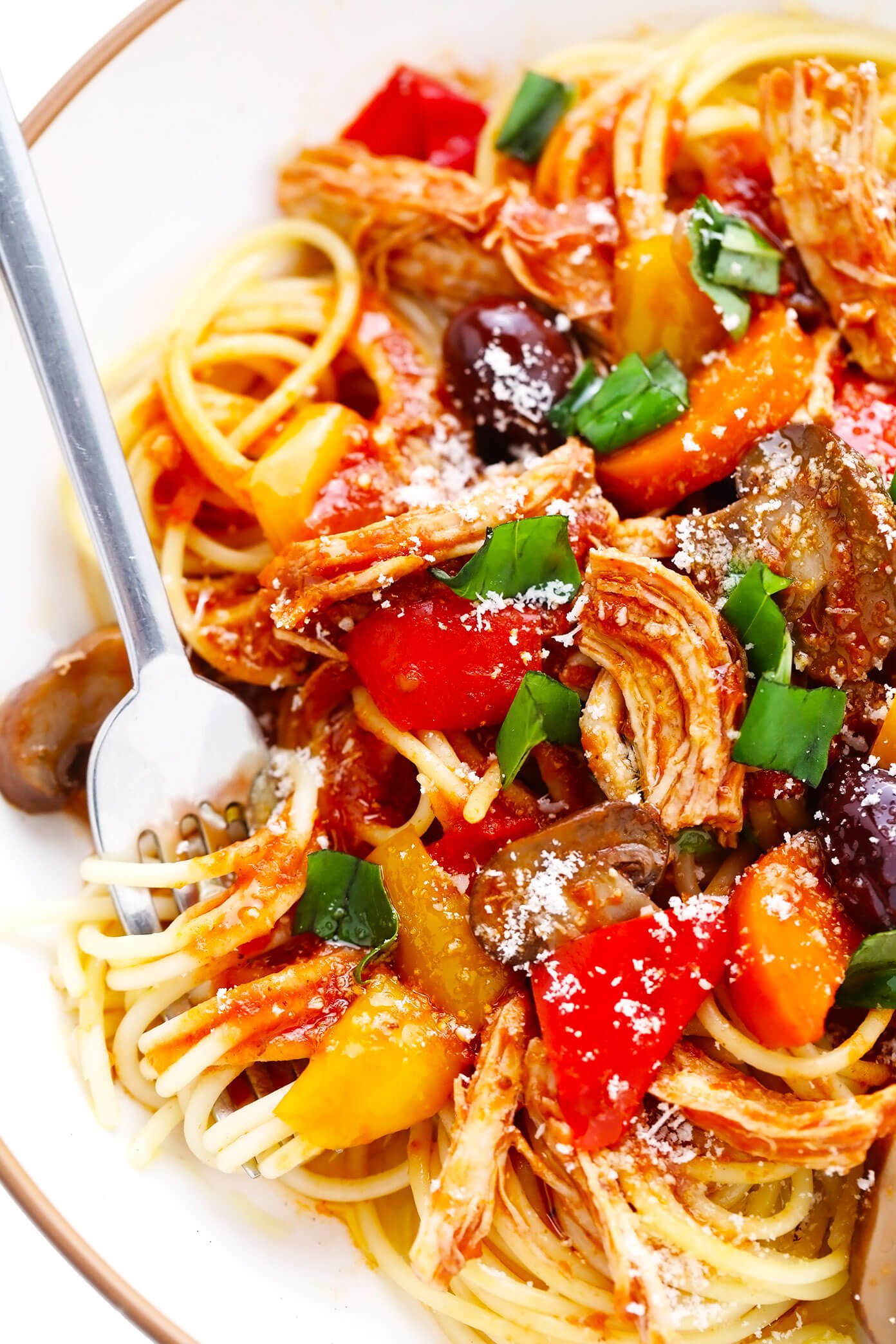 Bowl of Chicken Cacciatore with Spaghetti