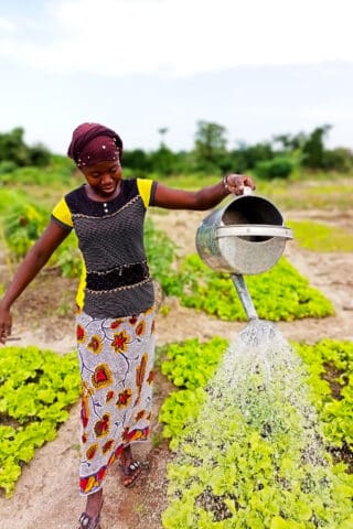 Benkadi Garden with The Wash Project in Mali