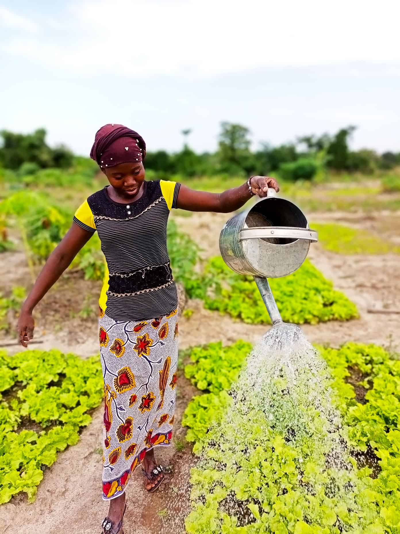 Benkadi Garden with The Wash Project in Mali