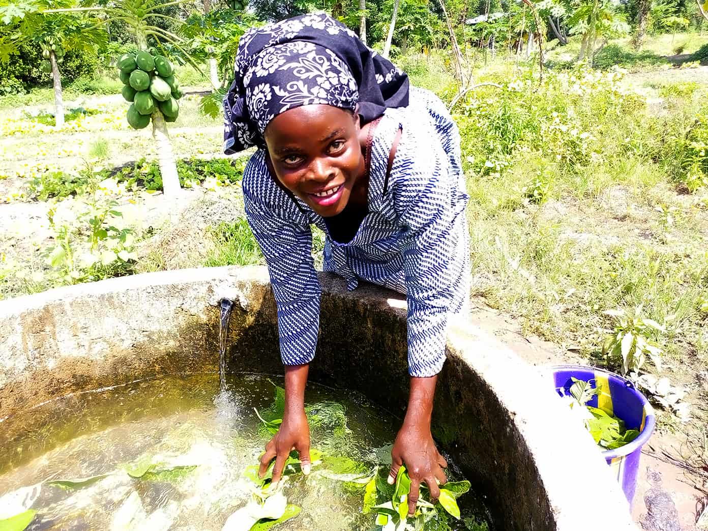 Washing greens in a fresh water well in Benkadi Garden