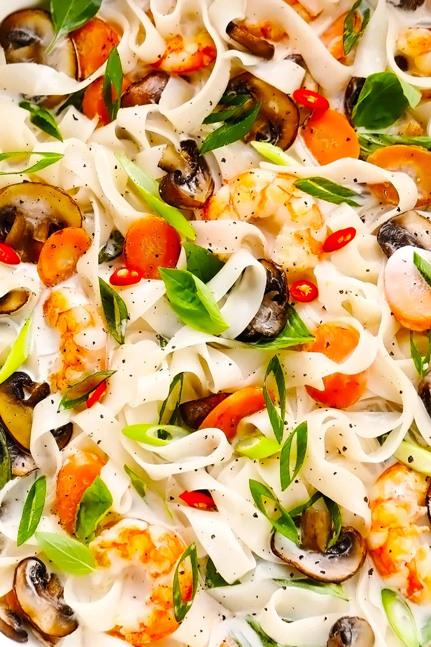 Closeup of lemongrass coconut noodles with shrimp and Thai basil