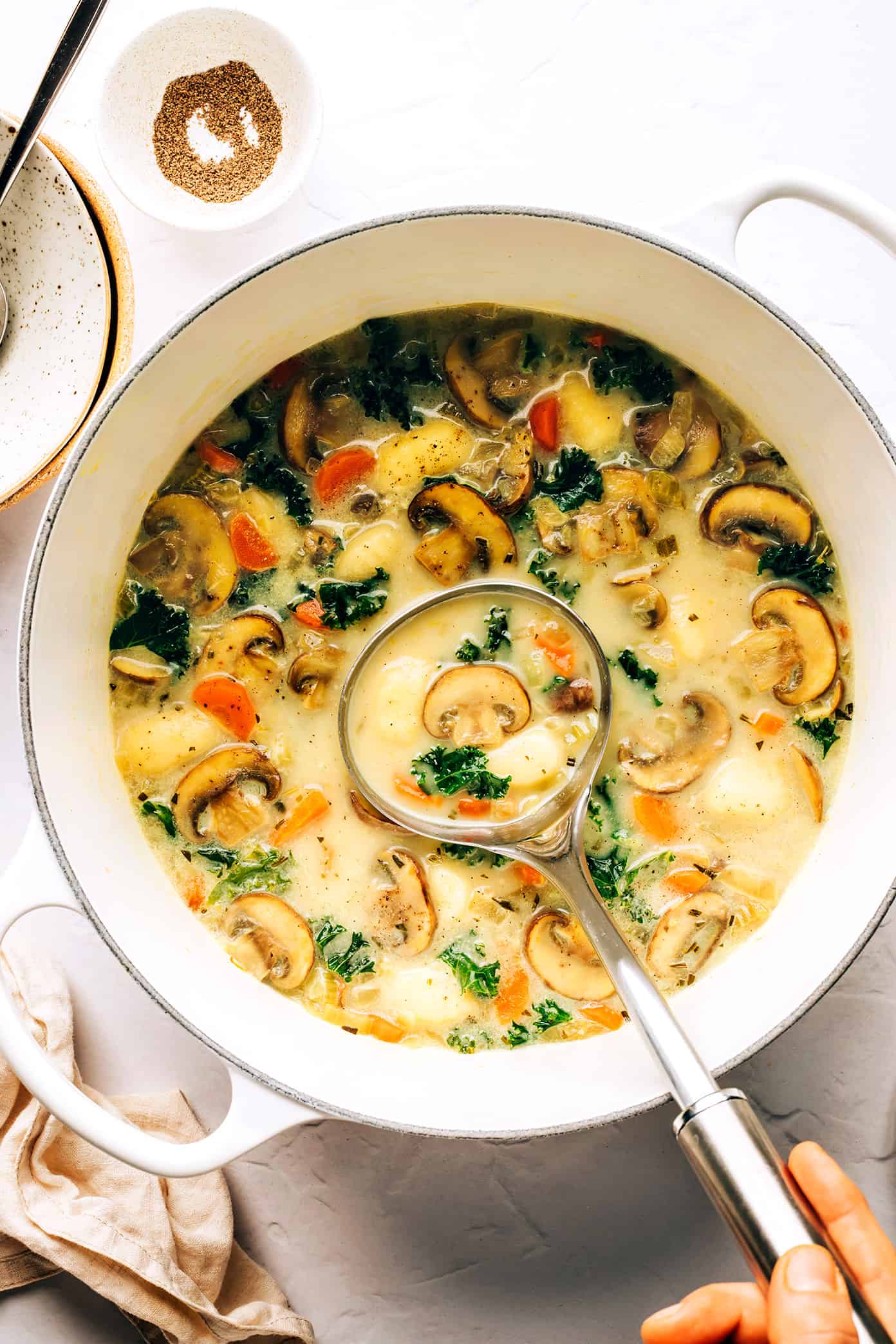 Gnocchi, Mushroom and Kale Soup in pot