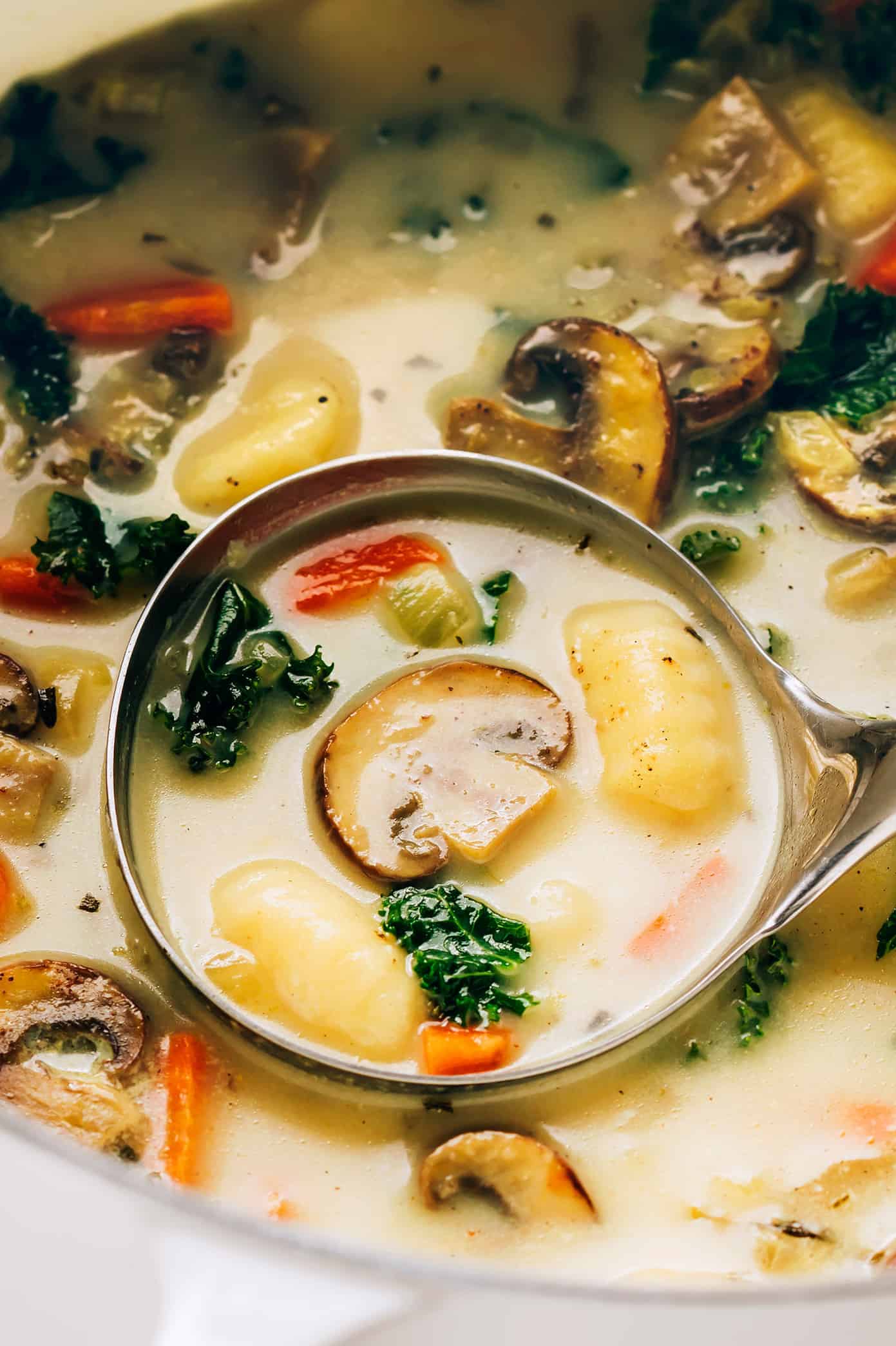 Closeup of gnocchi soup in ladle