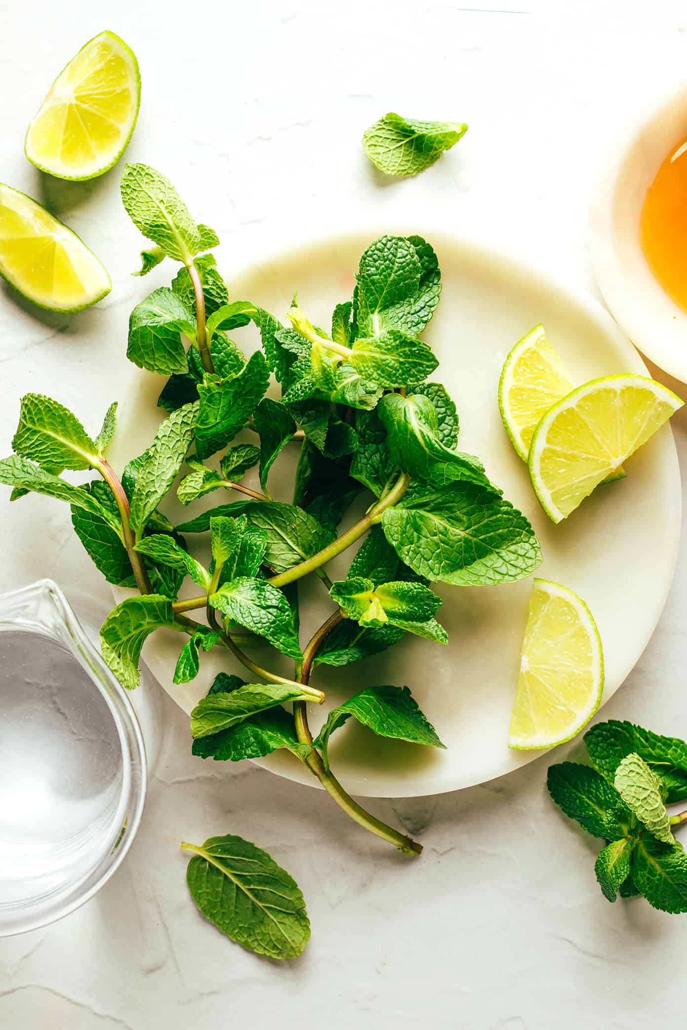 Fresh Mint Tea Ingredients