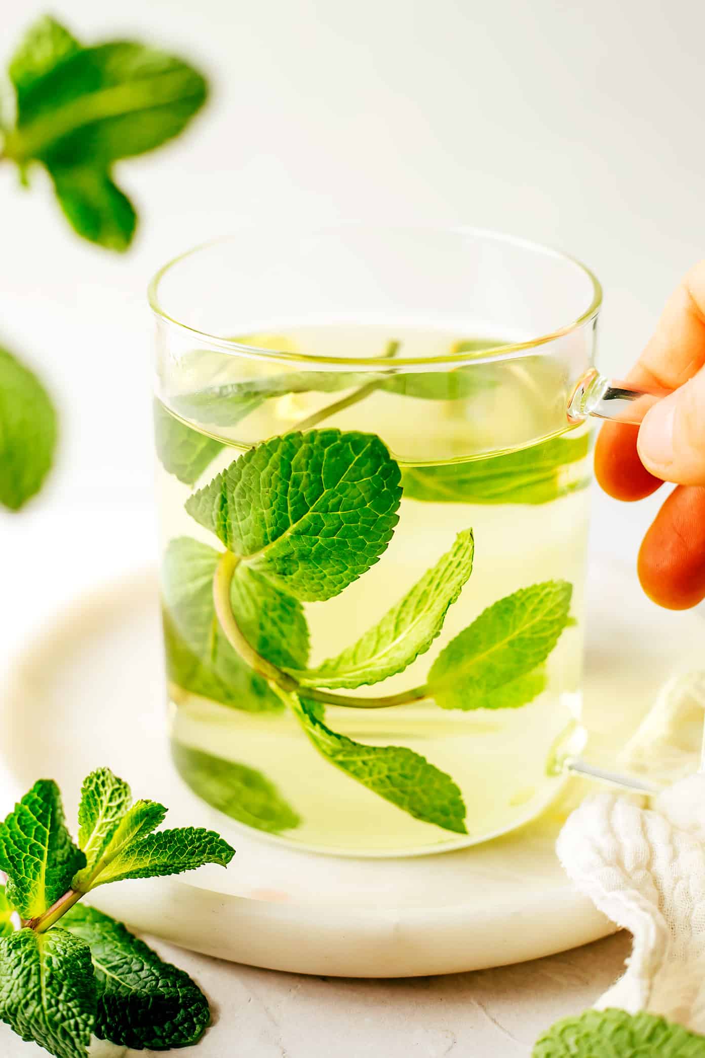 Fresh Mint Tea (Hot or Iced)