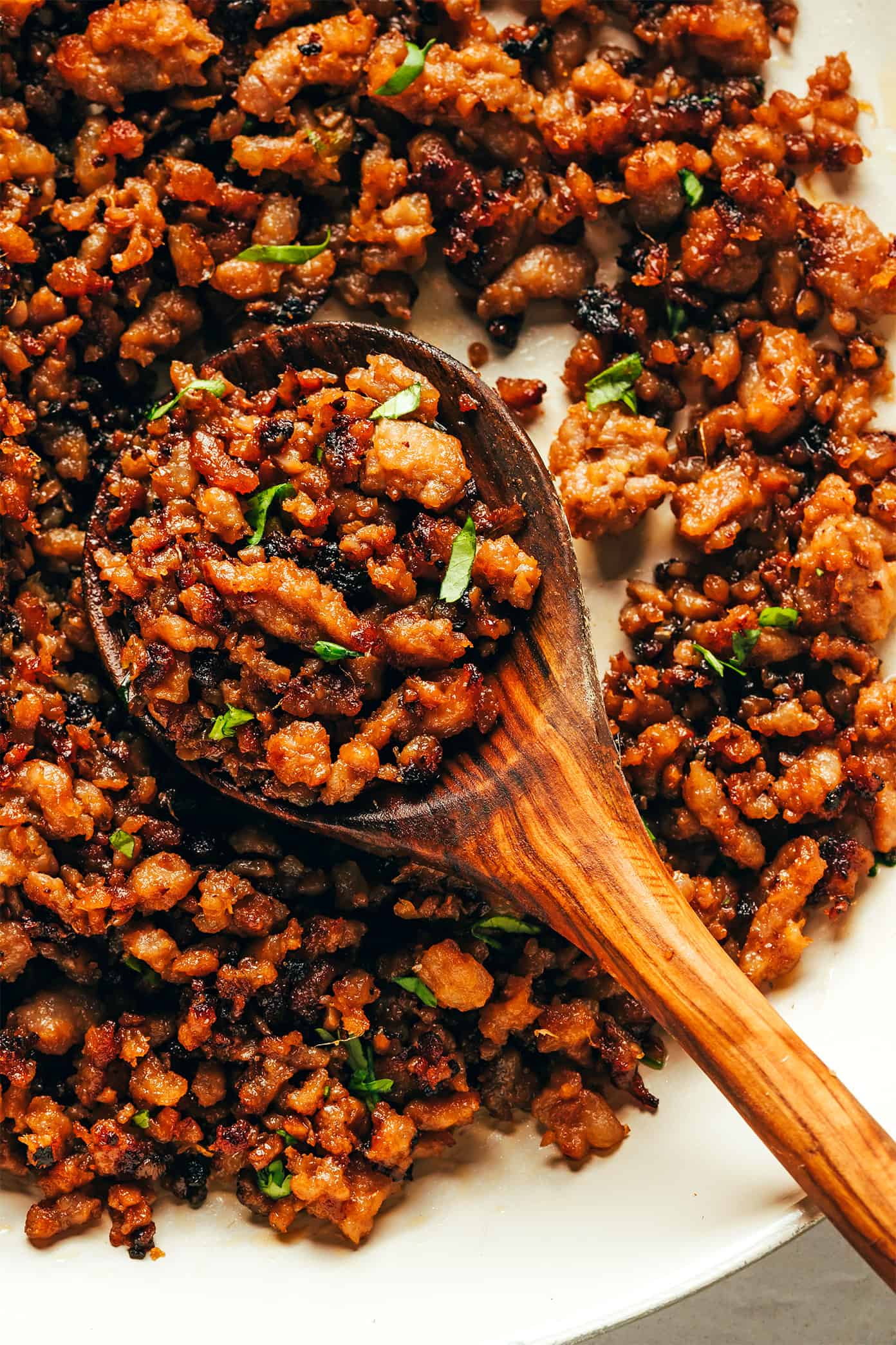 Caramelized Pork Closeup