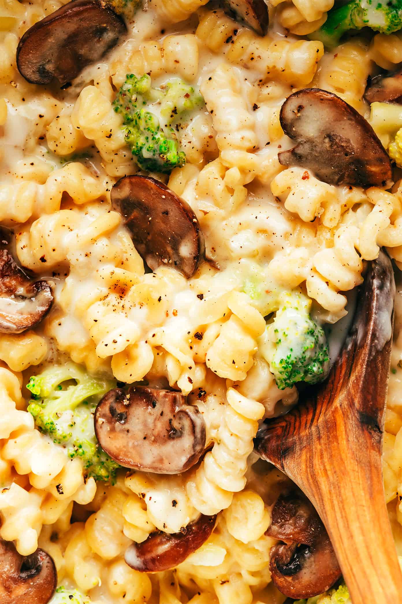 Broccoli Mac and Cheese Closeup with Spoon