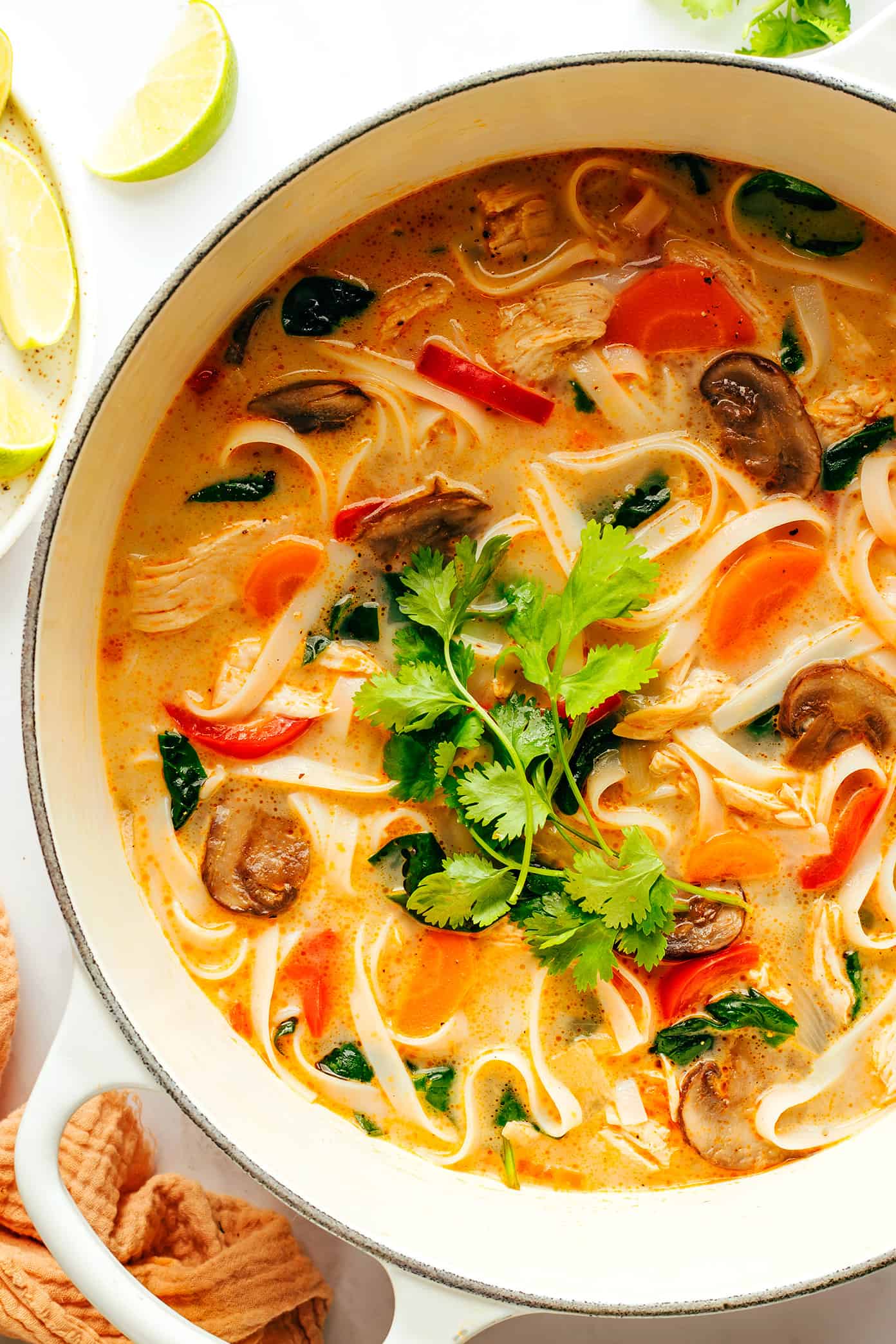 Thai Chicken Noodle Soup with Cilantro