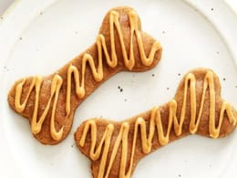 Homemade Dog Treats 3 Ingredients