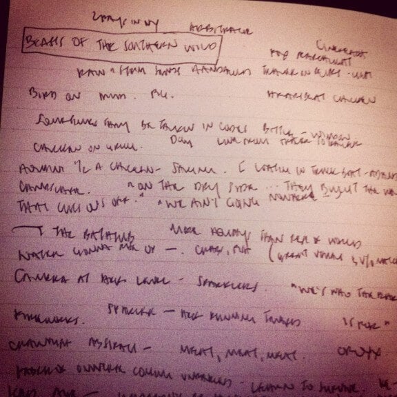 ...my notes from Beasts of the Southern Wild, directed by Benh Zeitlin...