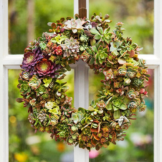 DIY Succulent Wreath | Photo from Better Homes & Gardens