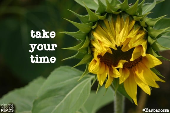 take your time #Barbarossa #quote | gimmesomereads.com