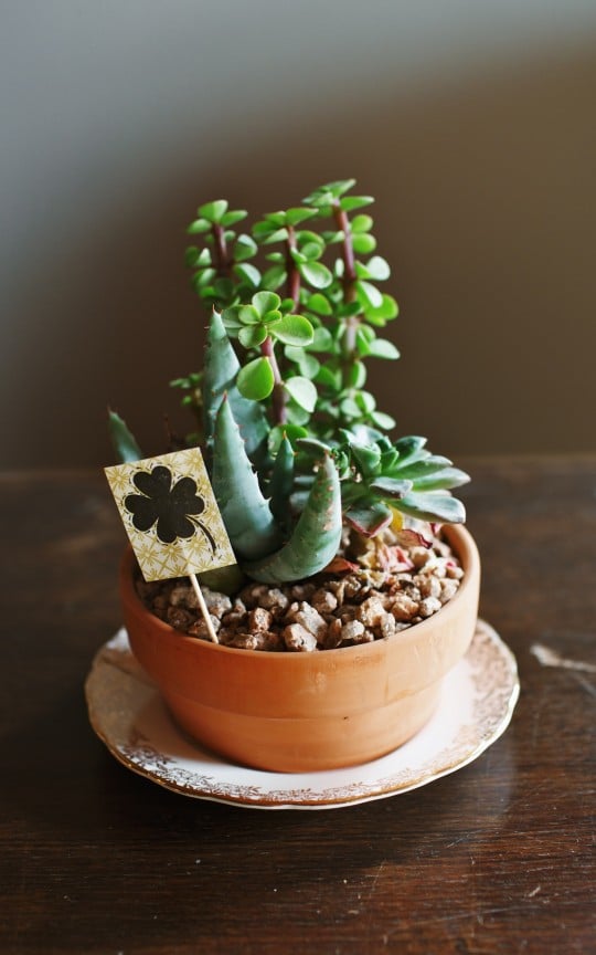 Shamrock Plant Marker | www.gimmesomestyleblog.com #shamrock #diy #stpatricksday