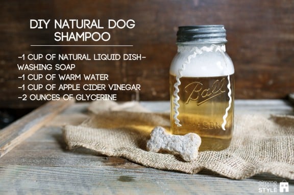 DIY Natural Dog Shampoo | www.gimmesomestyleblog.com