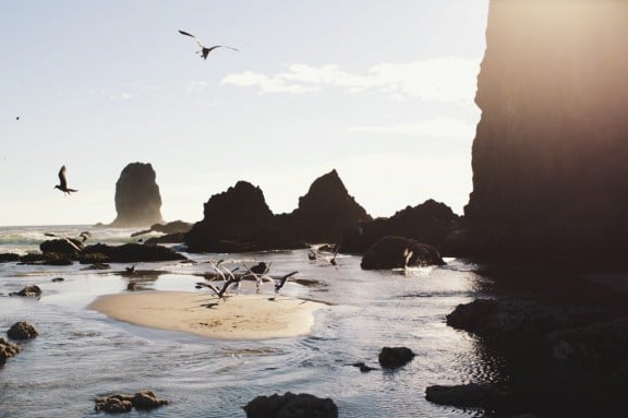 Cannon Beach, Oregon | www.gimmesomestyleblog.com #travel #beach #ocean