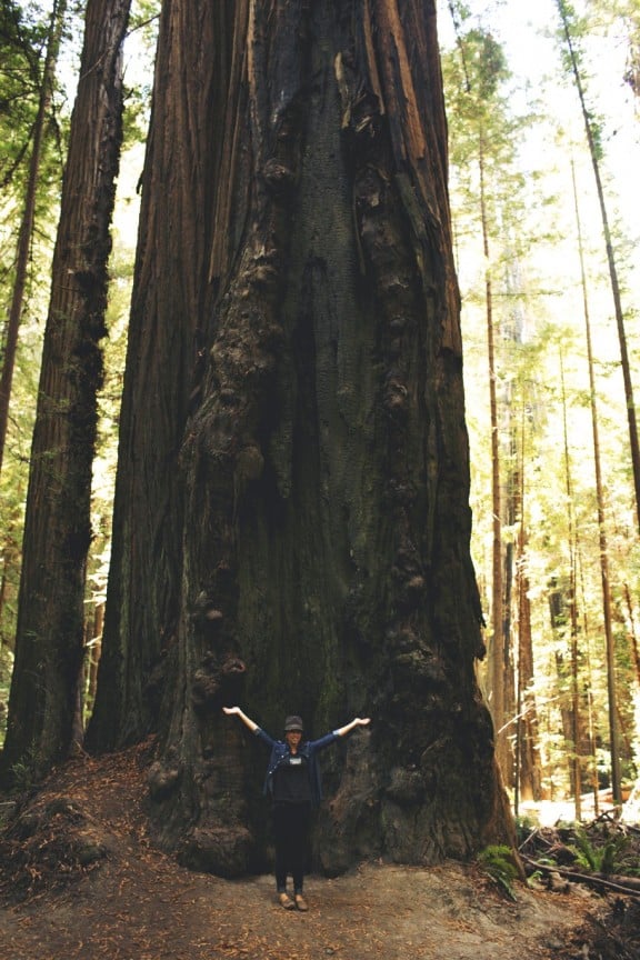 Redwood Forest | www.gimmesomestyleblog.com