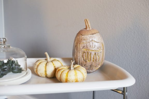 Five simple, disposable, apartment friendly, and nearly free fall decorations | gimmesomestyleblog.com