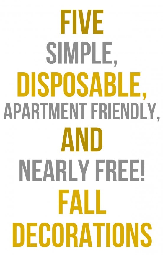 Five simple, disposable, apartment friendly, and nearly free fall decorations | gimmesomestyleblog.com